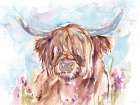 Highland Cow Art Print