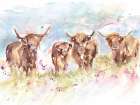 Highland Herd Art Print