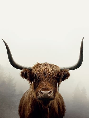 Douglas Art Print by Ian Winstanley