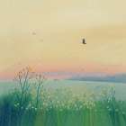 Morning Haze Art Print