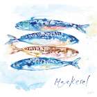 Mackerel Art Print