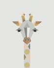 Giraffe Art Print
