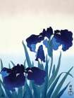Iris Flowers Art Print