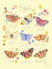 Butterflies Art Print