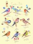 Garden Birds Art Print
