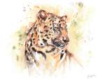 Leopard Art Print