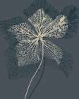Stem Silhouette IV Botanical Print
