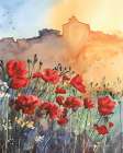 Poppies Art Print
