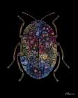 Iridescent Beetle Art Print