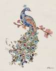 Peacock Art Print