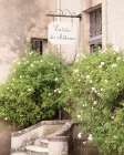 Entre du chateau Art Print
