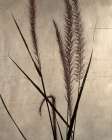 Dried Grasses I Minimalist Print