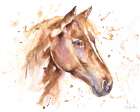 Glorious Horse Art Print