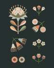 Australian Natives I Art Print