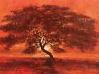 Desert Tree Art Print