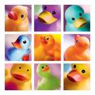 Duck Family Portraits Bathroom Art Print