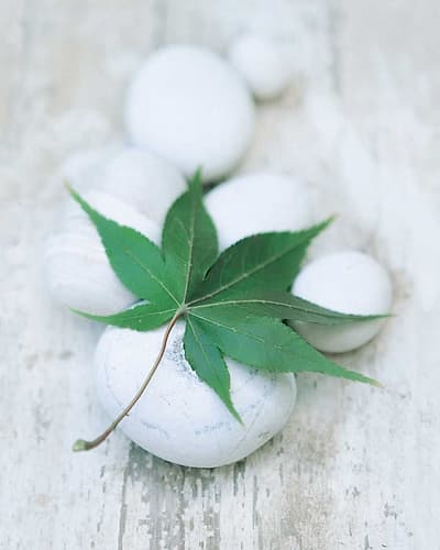 White Still Life III Art Print