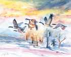 Geese Winter Sky Art Print