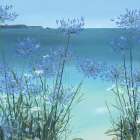 Summer View Of Gull Rock Art Print