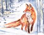 Fox Winter Walk Art Print