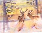 Stag Winter Sunset Art Print
