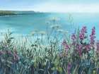 Coastal Walk, June Art Print