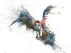 Eric In Flight Art Print by Sarah Stokes