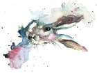 March Hare Art Print by Sarah Stokes