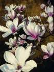 Magnolia Silk Art Print