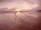 Love on the Horizon Art Print