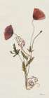 Wild Poppies Art Print