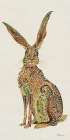 Gazing Hare Art Print