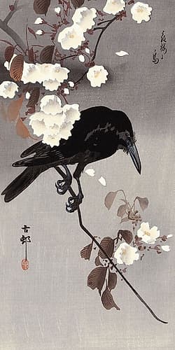 Crow on a Cherry Branch Art Print