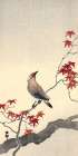 Japanese Waxwing on Maple Art Print