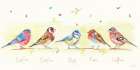 Line of Garden Birds Art Print