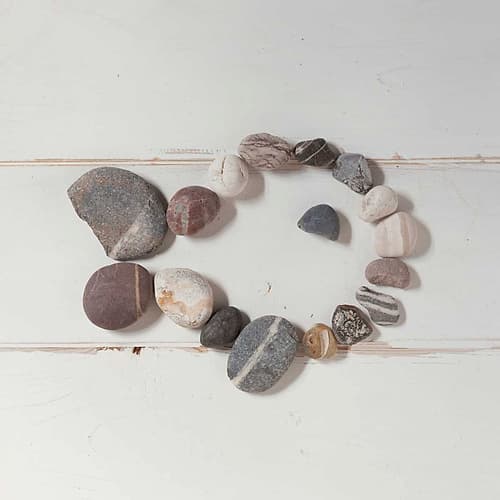 Stone Fish Coastal Print