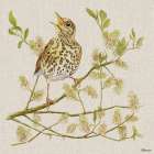 Dawn Chorus Art Print