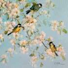 Song Birds and Apple Blossom Art Print