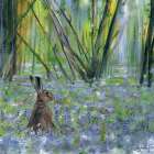 Spring Hare Art Print