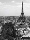 Eiffel Tower, Paris Art Print