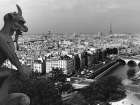 View from Notre-Dame, Paris Art Print