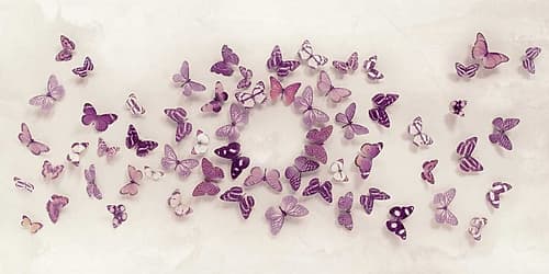 Kaleidoscope of Butterflies Animaux reproduction