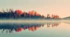 Forest Reflections Art Print