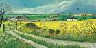 Canola Fields Art Print