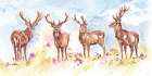 Stag Herd Art Print