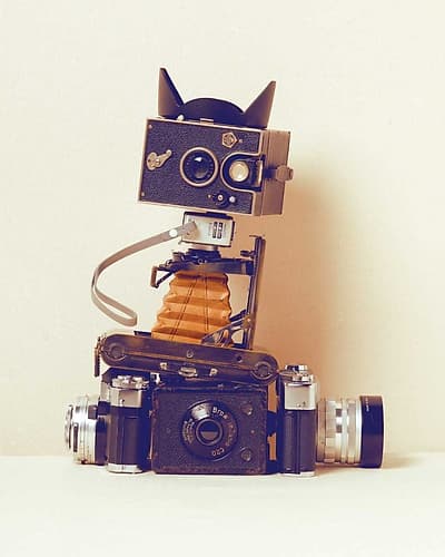 Robot Cat Photography Print