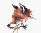 Patience Art Print by Sarah Stokes