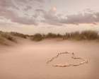 Love in the Dunes Art Print
