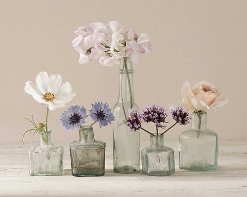 Flower Collection II Art Print