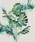 Monstera Leaves Art Print